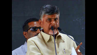 Anarchy prevails in Andhra Pradesh, says Chandrababu Naidu