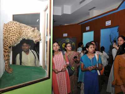 Lecture on biodiversity held at Natural History Museum