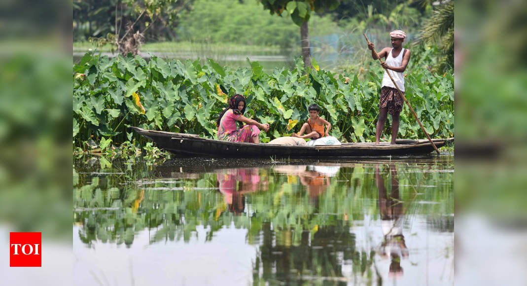 Assam flood death toll reaches 81, water re-enters ...