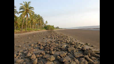 NIO to study Goa's 11th century Kadamba port wall
