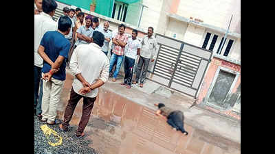 Gujarat: Harassed for recovery, farmer kills moneylender mother ...