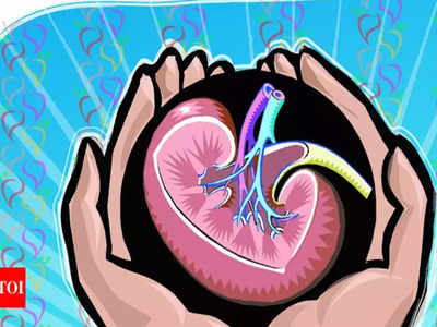 16-year-old Sheikhpura girl has no donor for kidney transplant