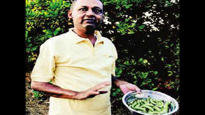 Mumbai: Engineer who quit job for farming lands in textbooks