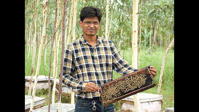 Farmers join Dipen Patel’s organic bee harvesting mode