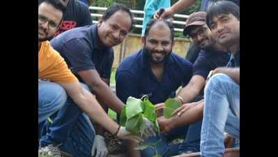 In pictures: Youngsters organise tree plantation drive in Raipur