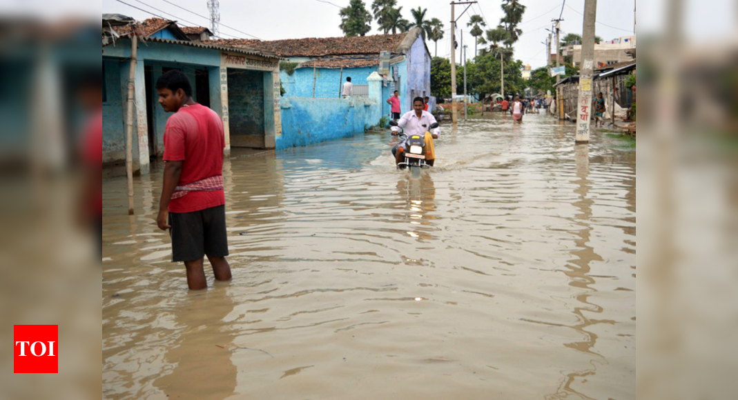 Assam Flood Death Toll Mounts To 86 India News Times Of India 9285