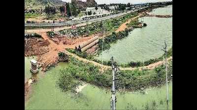 Year after lake frothing, irrigation dept says demand for Bengaluru’s treated water grows in Kolar