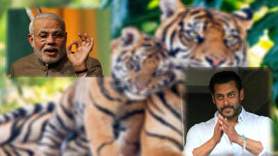 PM Narendra Modi uses Salman Khan's films as reference to talk about tiger conservation