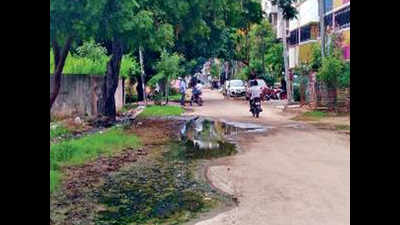 Street in Iyyappanthangal stinks as sewage overflows