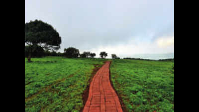 Slushy paths on Satara's Kas plateau now paved with red bricks for safety