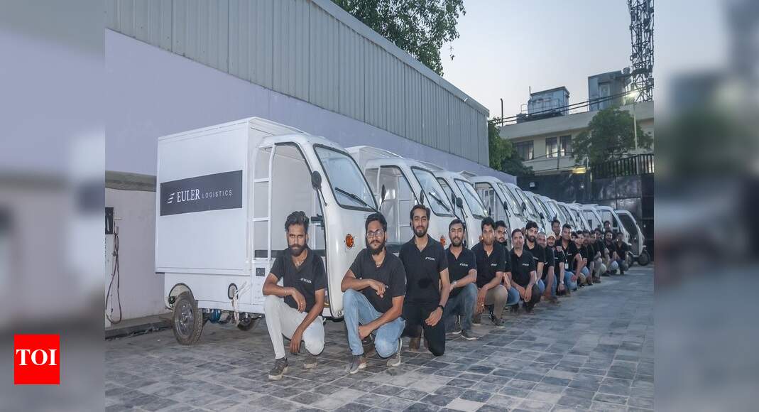 Euler Motors to introduce electric light commercial cargo 3wheelers in