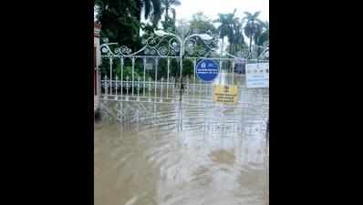 Sayajibaug zoo inundated