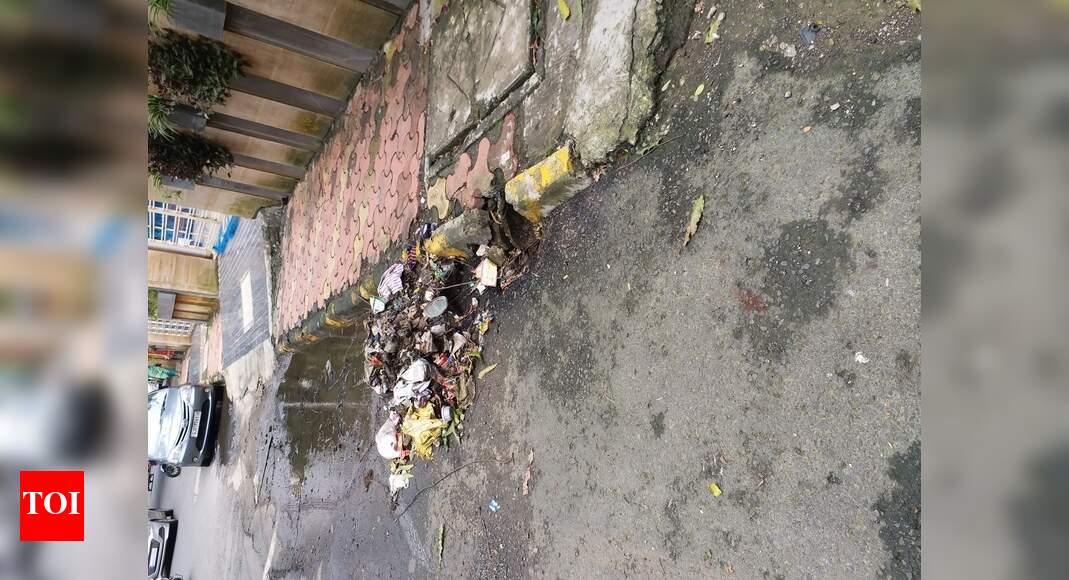 garbage not picked up Times of India