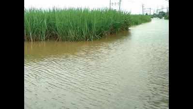 14 Bridges In Karnataka Submerge As Maharashtra Releases Water Into ...