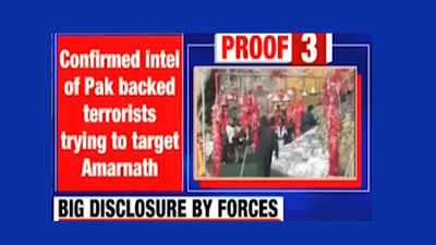 Pak-based terrorists planning to target Amarnath Yatra: Army