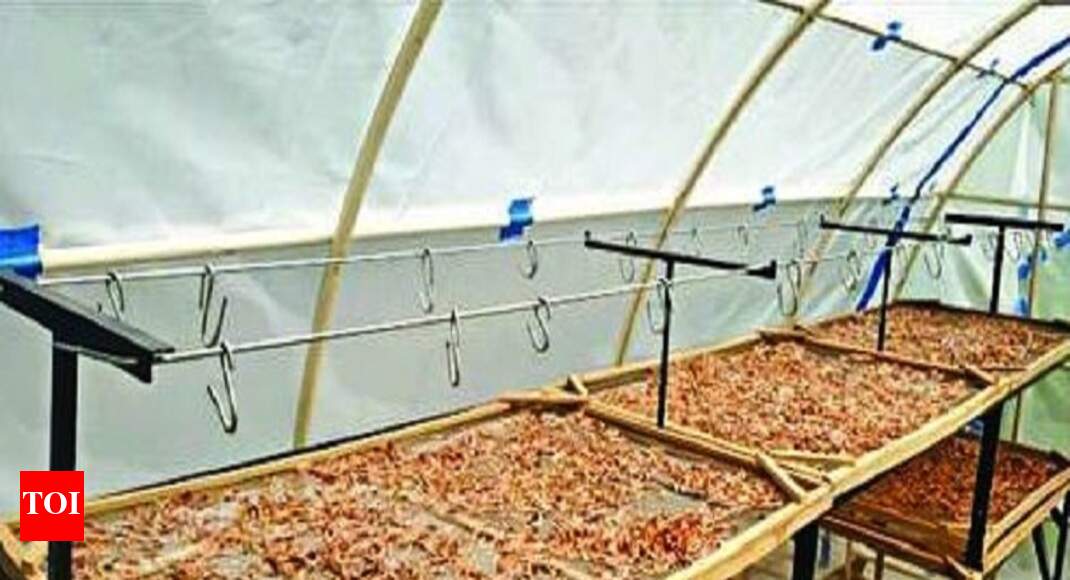 Kochi CIFT launches solar fish dryer Kochi News Times of India