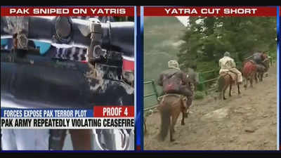 Amarnath Yatra curtailed after Pak army sniper rifles, land mines recovered on route