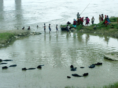 Bihar: Centre approves Rs 4,900-crore project to link Kosi, Mechi rivers