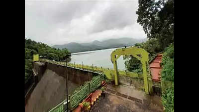 Goa: Three gates of Anjunem dam opened