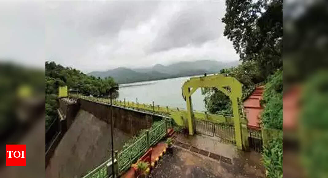 Goa Three gates of Anjunem dam opened Goa News Times of India