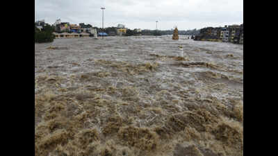 Godavari river flows in extreme flood situation | Pune News - Times of
