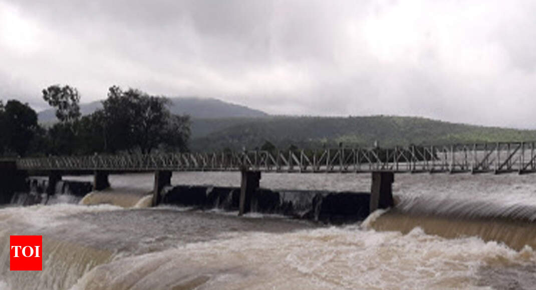 12 dams in Kolhapur district reach almost 100 storage Kolhapur News