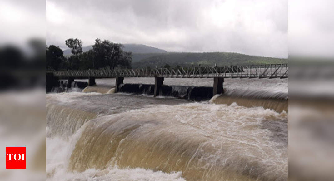 12 dams in Kolhapur district reach almost 100 storage Kolhapur News