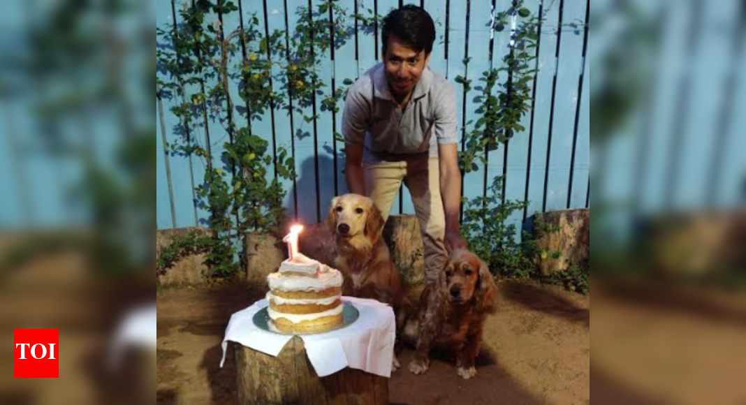 Grab a bite at these petfriendly cafes in Chennai Chennai News