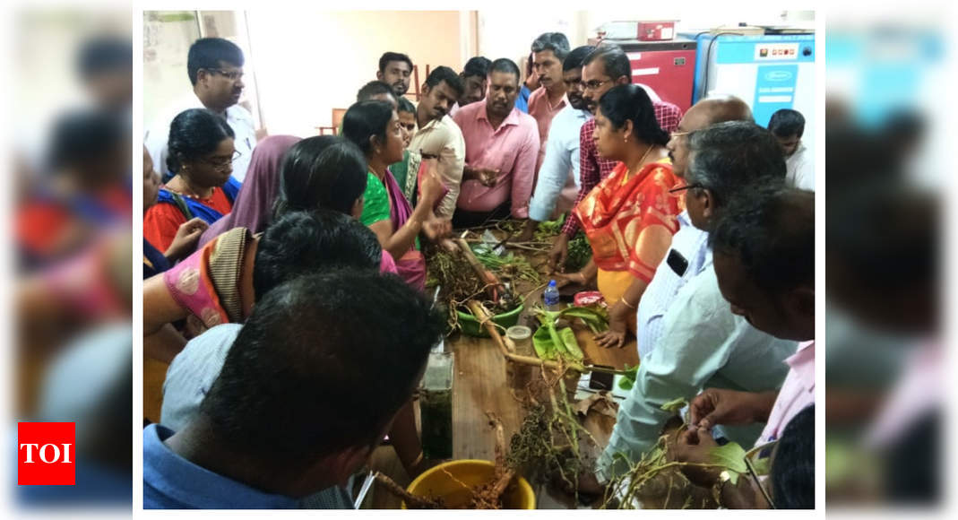 Workshop on plant parasitic nematodes  Chennai News - Times of India