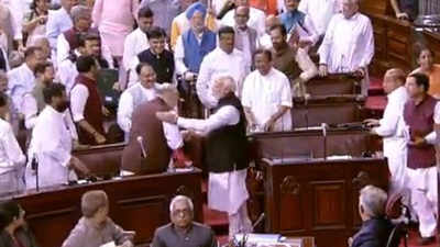 Rajya Sabha passes J&K Reorganisation Bill