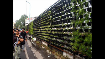 Indore: Vertical gardens add green oomph to Swachh lifestyle