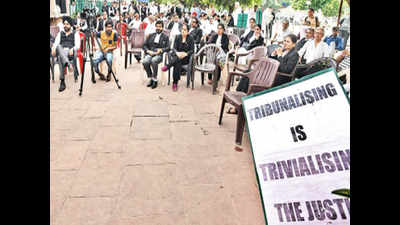 Haryana tribunal row: HC lawyers to continue strike
