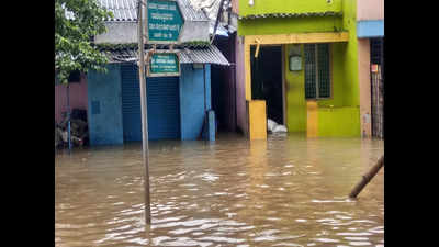 Karnataka rains: Flood situation worsens in Shivamogga, Chikkamagaluru; schools, colleges shut