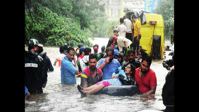 Individual citizens join experts in rescue effort
