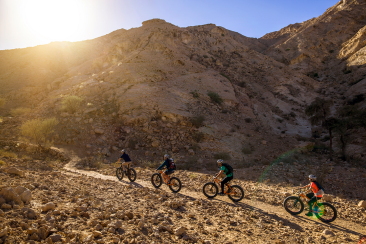 Trekking and Mountain Biking in Mleiha