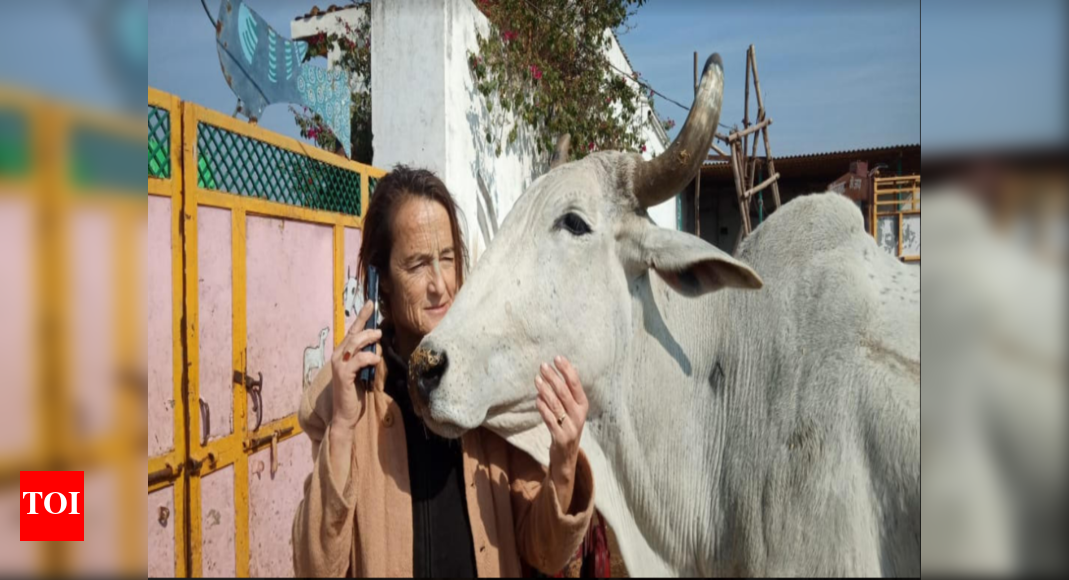 Cow protector from Germany owes her stay in India to Sushma | India ...