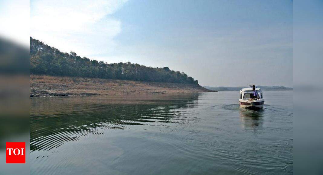 Water level inches up in region’s dams Nagpur News Times of India