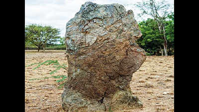 Amateur historians find three menhirs in Kongu region dating to 1,500BC-500BC