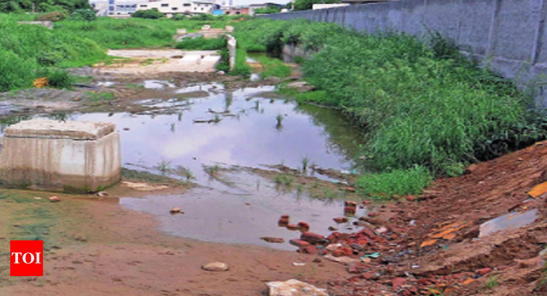 Gurugram: How 29km Badshapur drain gets polluted | Gurgaon News - Times ...