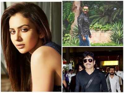 Here's what Rakul Preet Singh has to say about working with Ajay Devgn and Nagarjuna