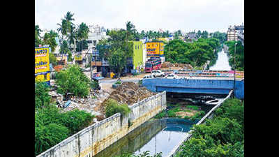 Tamil Nadu: 27,000 squatters along Buckingham canal to be relocated