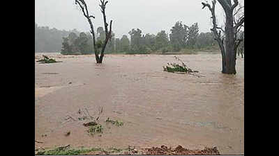 'Heavy rain' alert in parts of north Chhattisgarh