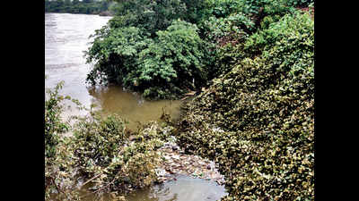 Trash piles up along river banks as water retreats