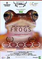 
The Secret Life Of Frogs
