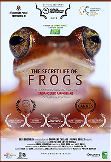 The Secret Life Of Frogs