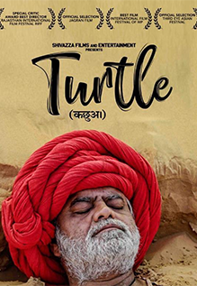 Turtle
