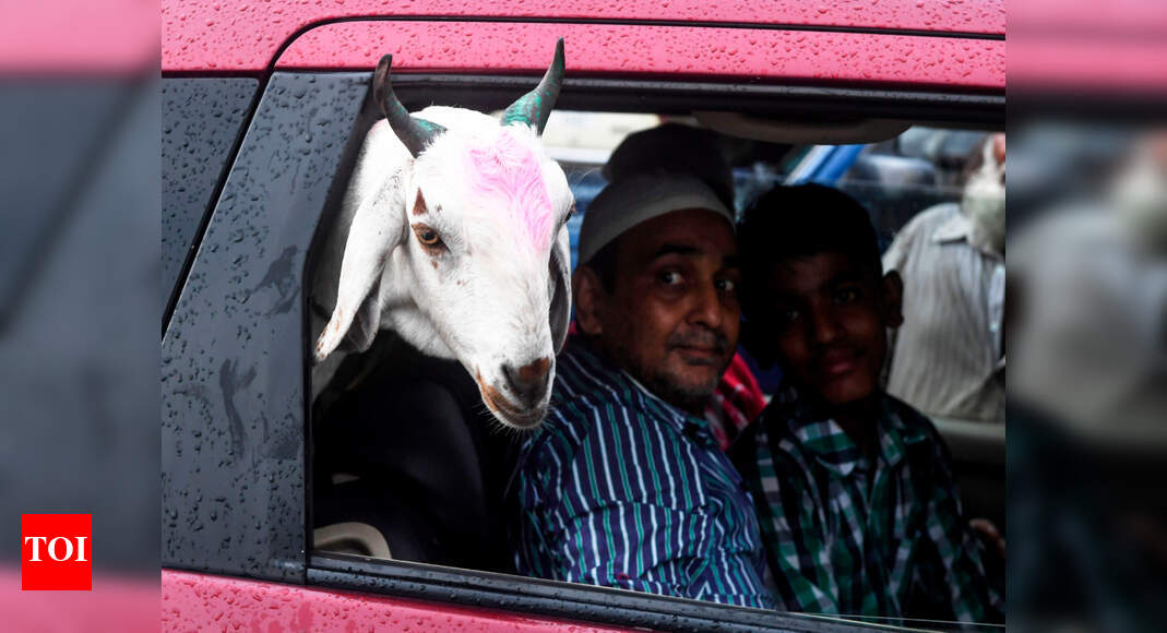 Don't sacrifice white animals on Eid, says minority ...
