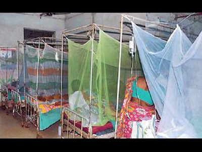Suburbs dengue outbreak keeps Kolkata on tenterhooks | Kolkata News ...