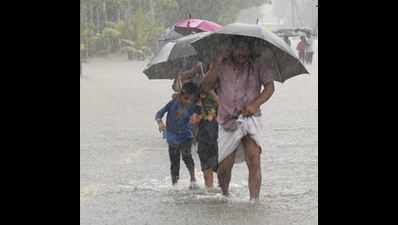 Kerala rains: Red alert in Kasaragod, Kannur and Wayanad
