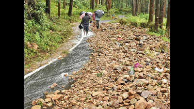 Rain subsides in Nilgiris, work on to restore traffic